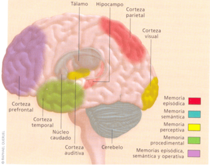 Captura de pantalla 2019-07-17 a las 20.08.08