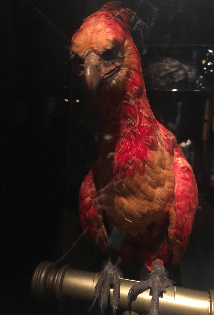 Captura de pantalla 2019-08-05 a las 18.01.10.png